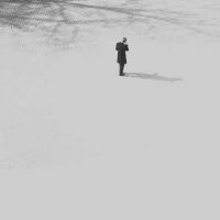 感情谈论真正的句子情绪引用心脏判刑