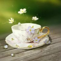 阳光只是一个好句子今天表达一个好句子