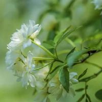 一体式正能量，早上，早上，充满积极的能量