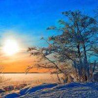 春风不如你美丽的句子，春风不如经典报价。