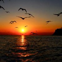 日落再生的短句是日落，玉汇的美丽句子