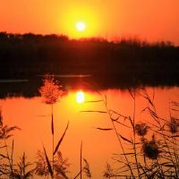 描述夕阳的句子