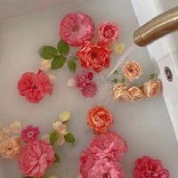 这句话是，句子，句子，会谈论日子的悲伤。