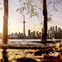 关于吃新的一年，说句话，一群情绪圈子