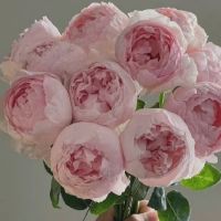 超级鼓舞人心的句子到他自己2022年虎年的朋友激励