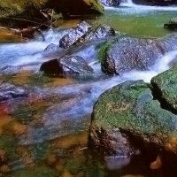 只是和柔软的美学句子