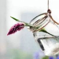 更多触摸句子:现在转变为回忆,一点点