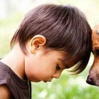 触摸句子大全与图片:流下的泪水才能知道,分开是另一种理解