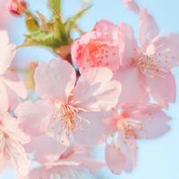 触摸经典报价:原始的长期长,只是误解