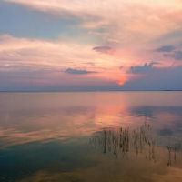 赞美句子,句子,句子,16个句子赞美句子