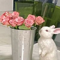 热门手表:你陪伴五年了