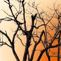 设计:只给你最亲爱的人