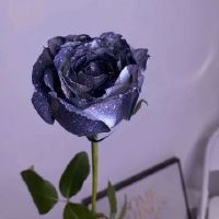 如果忏悔被否认,我该怎么办?