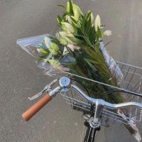 经典英语爱书句