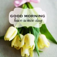 新的一年的回报（选定的59句话）回家觉得简单2022