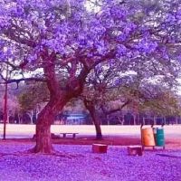 非常逼真的生活感情情绪谈论情绪和谈话，这是非常现实的。