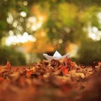 有一种人格签名必须在测试后关闭