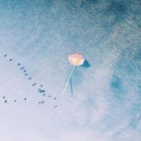 2022更多火悲伤的判决2022悲伤的句子