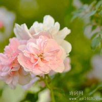 关于鼓舞人心的着名演讲