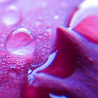 2022个新的一年开始良好的问候