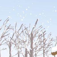 帮助2022冬季奥运会朋友圈