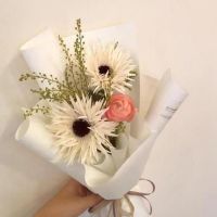 平平和微弱的生活感受是平坦的，真正的经典