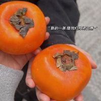 关于幽默引用的小型年轻人关于少年幽默