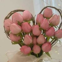 女士服装老师丝思科经典签名超级鼓舞人心的审美签名(选定41)