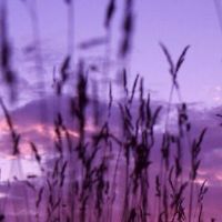 2022年学校季节谈论句子