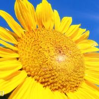 最新的2022个新年开始大会