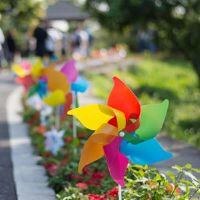 2022我祝愿新的一年开始快乐的快乐