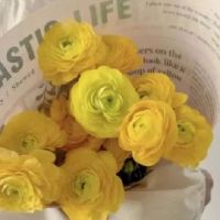 新版本的新版本的昵称有趣的网名称女孩非常精彩（选择39）