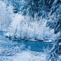 雪的伤感经典语句 下雪的伤感经典语录