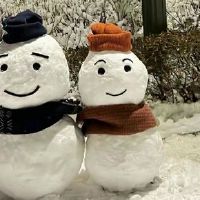 做个快乐的憨憨文案 一本正经的沙雕文案短句