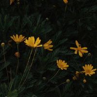 2022最扎心的伤感短句 伤感说说2022最新致自己