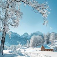 感情见不得光的说说 爱上已婚的男人伤感说说