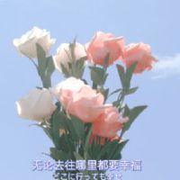 很独特的个性网名合集 有创意的昵称独一无二经典网名