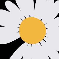 随心随意去生活经典句子 让生活随心的唯美句子