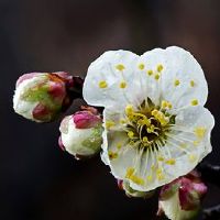 关于春天到来的唯美文案 2022春天到来的心情说说