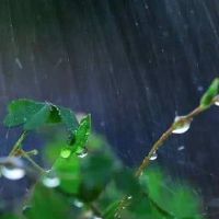 一场春雨一场暖的好听文案 2022绵绵春雨的唯美句子