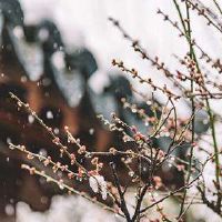 关于倒春寒发朋友的句子 倒春寒很冷的心情说说