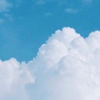 对婆婆失望看透的句子 对婆婆失望心寒的说说