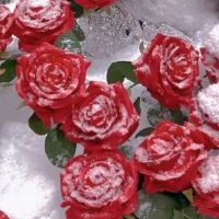 微信签名爱情浪漫短句 很好听的关于爱情的微信签名最新