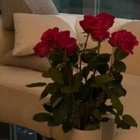 致自己一段话霸气高冷的签名 让人很喜欢的超拽签名短句2022