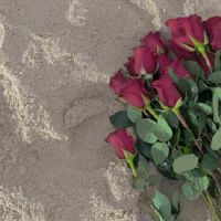 心冷了人累了的网名 绝望看透了死心的伤感网名(精选52个)