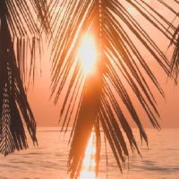 最伤感的签名看了想哭 痛彻心扉的伤感签名(精选40条)