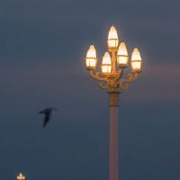 唱歌难听的幽默句子 唱歌不好听的幽默自嘲的文案