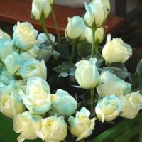 好听又有吸引力的微信昵称 一眼就吸引人的微信网名