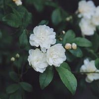 心情淡淡忧伤的朋友圈短语 表达淡淡忧伤的唯美句子