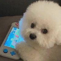 好听又很悲伤的网名 伤感中带有一丝唯美的昵称(精选54个)